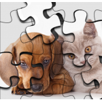 Cat vs Dog Puzzle